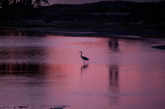 (C) ScottS at Morguefile