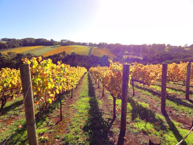 (C) wunee at Morguefile