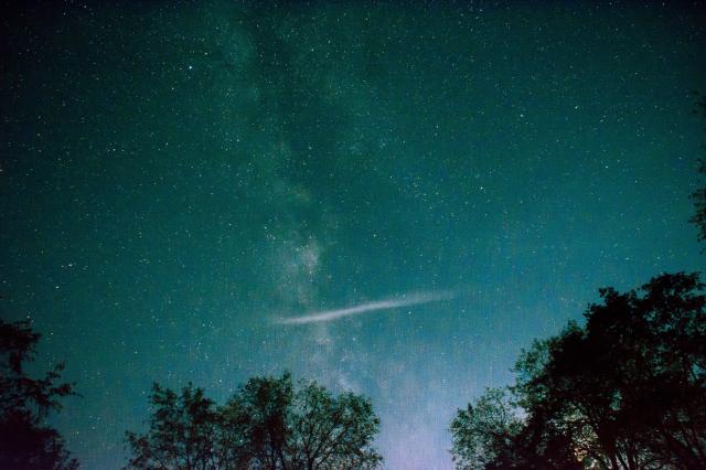 (C) Jason Gillman at Morguefile