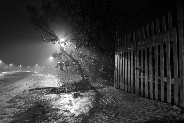 (CC) Xenja Santarelli on Flickr, license CC