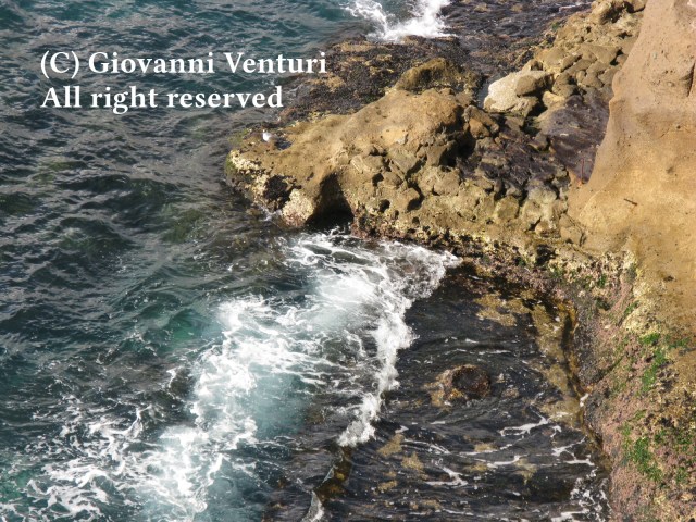 (C) Giovanni Venturi - All right reserved